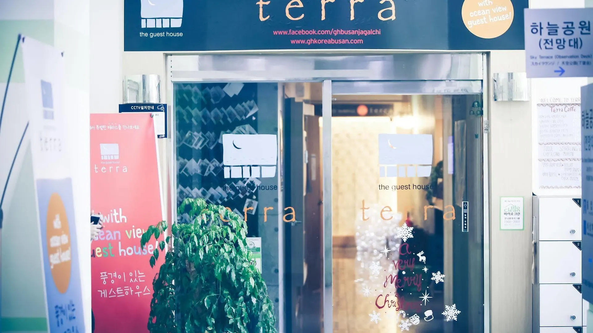 Auberge de jeunesse Terra Guesthouse Busan